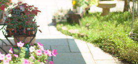 植栽芝刈り除草の画像